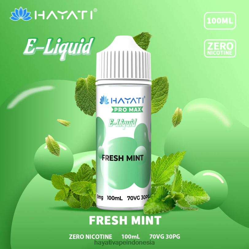 Hayati Pro Max garam bagus Mint segar A84L8255 - Hayati Vape Review