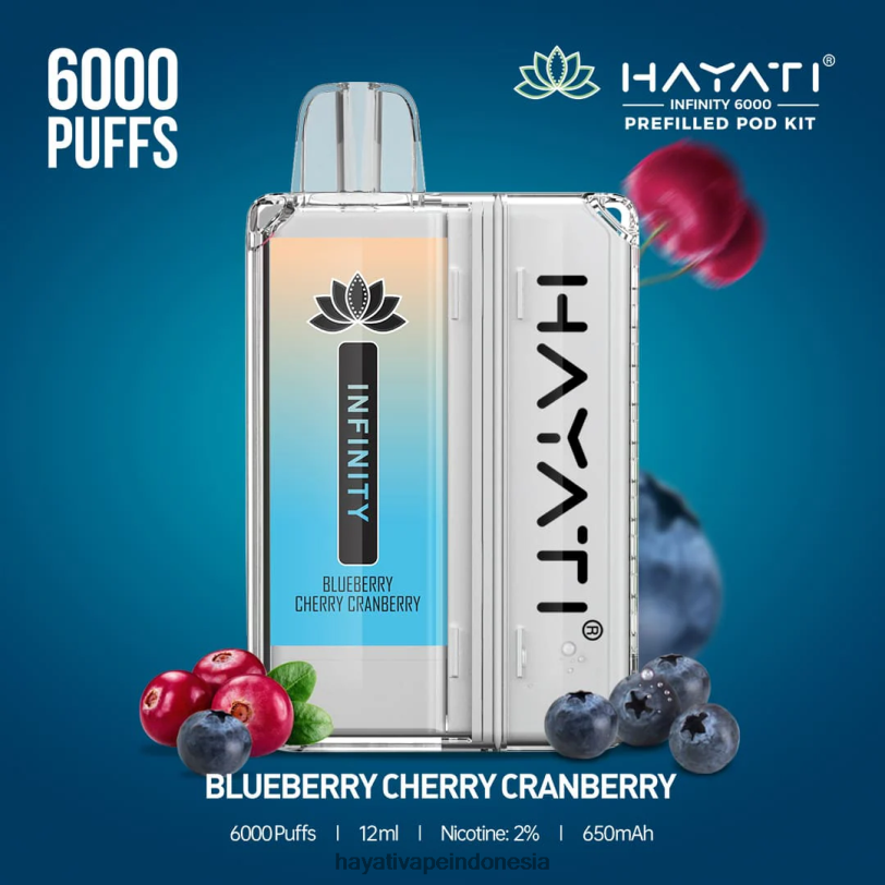 Hayati Infinity 6000 pod kit cranberry ceri blueberry A84L8145 - Hayati Vape Review