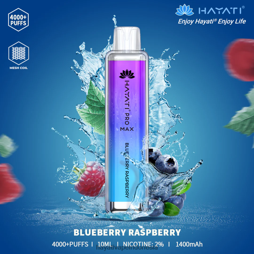 Hayati Pro Max sekali pakai blueberry-raspberry A84L899 - Hayati Vapes Wholesale